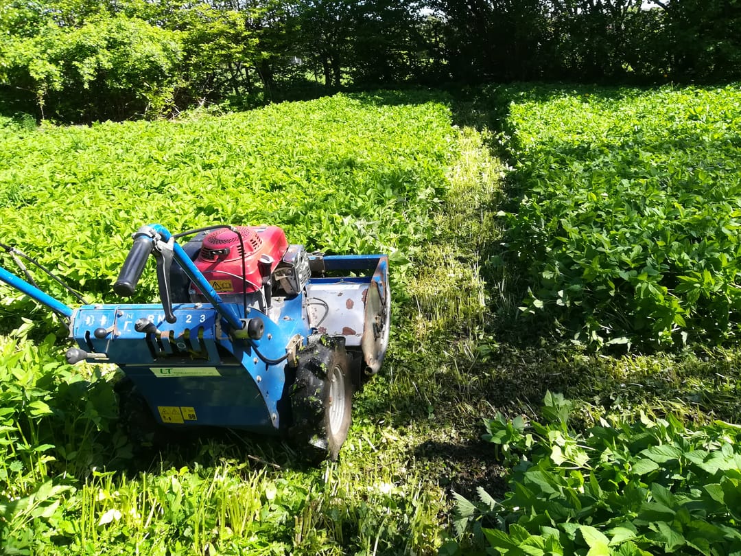 Billede til Havetrimning