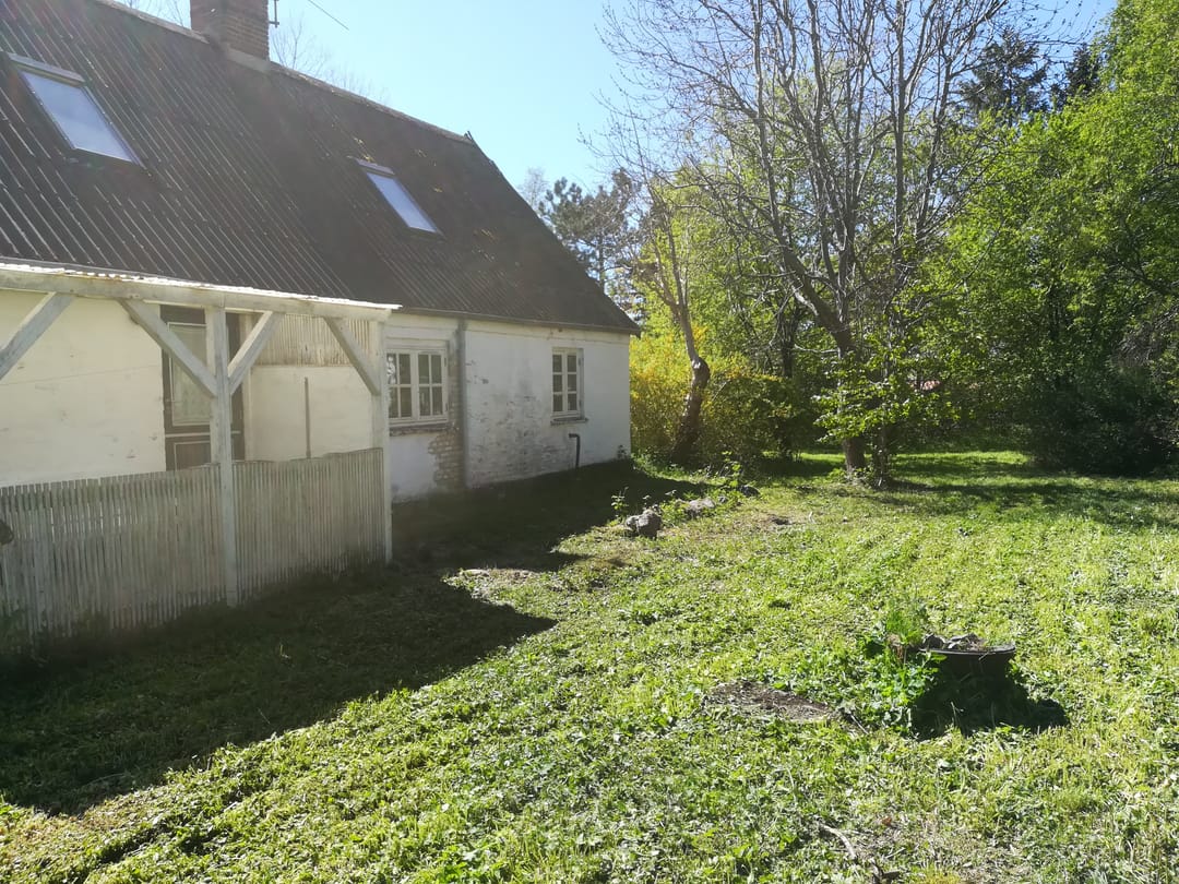 Havetrimning færdig