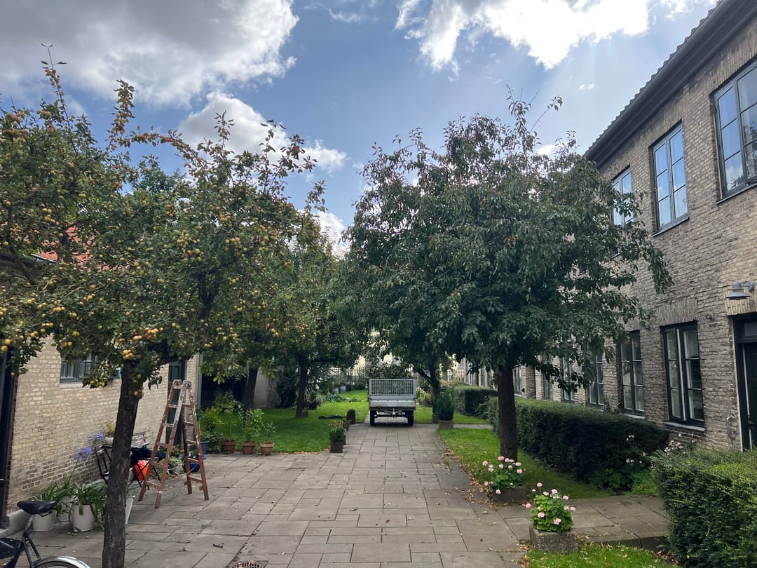 Billede til Træbeskæring