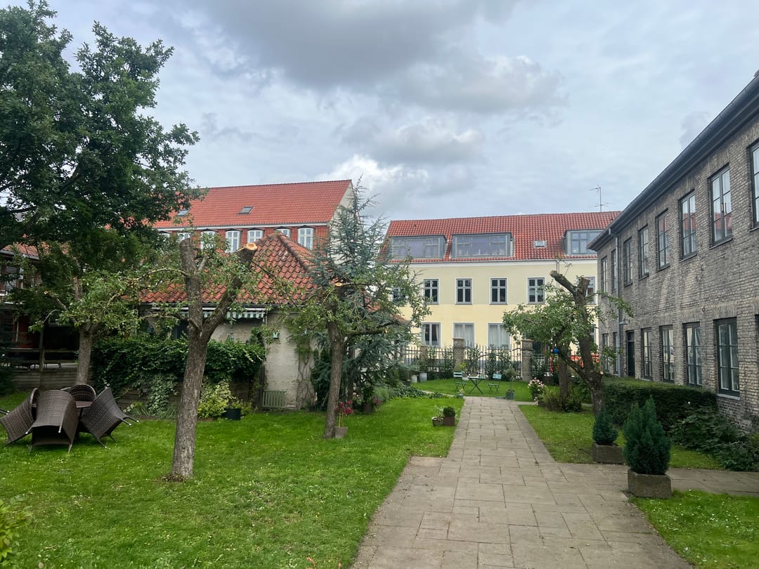 Træer efter beskæring