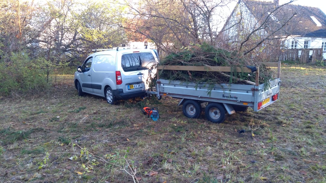 Det beskårede grantræ køres bort i trailer